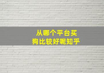 从哪个平台买狗比较好呢知乎