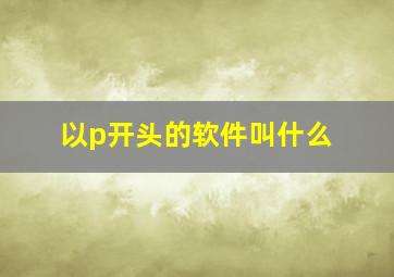 以p开头的软件叫什么