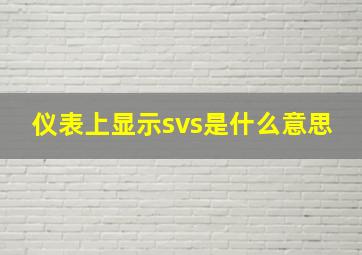 仪表上显示svs是什么意思