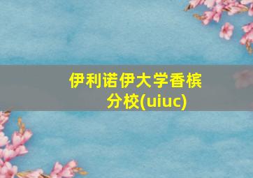 伊利诺伊大学香槟分校(uiuc)