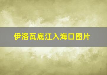 伊洛瓦底江入海口图片