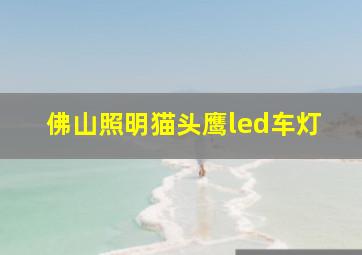 佛山照明猫头鹰led车灯