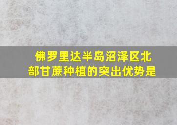 佛罗里达半岛沼泽区北部甘蔗种植的突出优势是