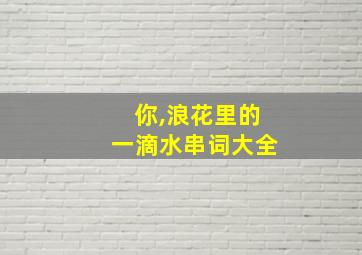 你,浪花里的一滴水串词大全