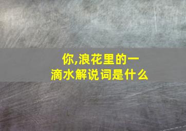 你,浪花里的一滴水解说词是什么