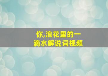 你,浪花里的一滴水解说词视频