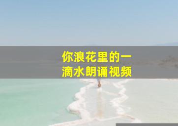 你浪花里的一滴水朗诵视频