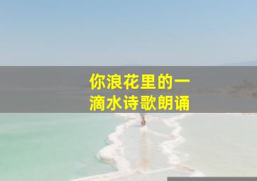 你浪花里的一滴水诗歌朗诵