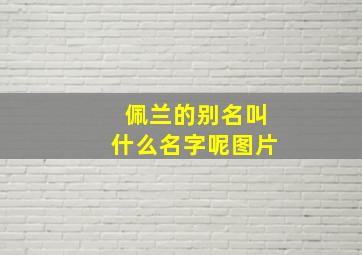 佩兰的别名叫什么名字呢图片