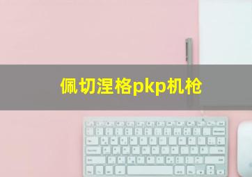 佩切涅格pkp机枪