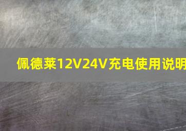 佩德莱12V24V充电使用说明