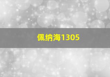 佩纳海1305