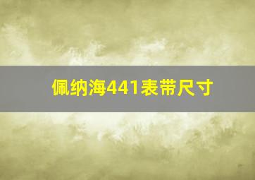 佩纳海441表带尺寸