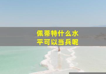 佩蒂特什么水平可以当兵呢