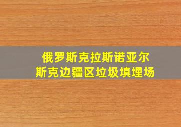 俄罗斯克拉斯诺亚尔斯克边疆区垃圾填埋场