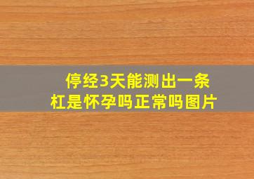 停经3天能测出一条杠是怀孕吗正常吗图片