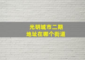 光明城市二期地址在哪个街道