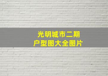 光明城市二期户型图大全图片