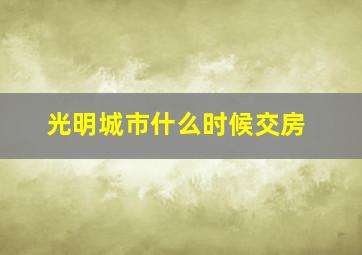 光明城市什么时候交房