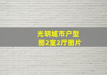 光明城市户型图2室2厅图片