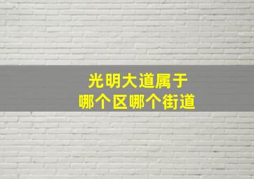 光明大道属于哪个区哪个街道