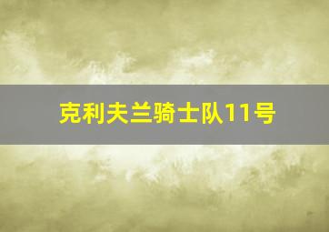 克利夫兰骑士队11号