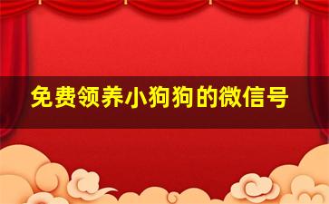 免费领养小狗狗的微信号