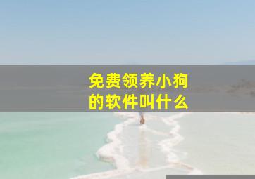 免费领养小狗的软件叫什么