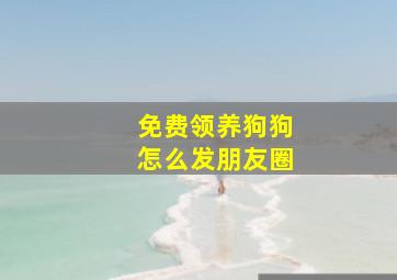 免费领养狗狗怎么发朋友圈