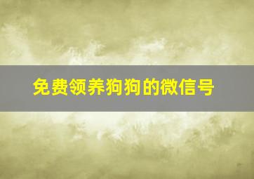 免费领养狗狗的微信号