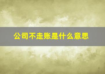 公司不走账是什么意思