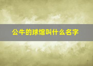 公牛的球馆叫什么名字