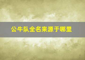 公牛队全名来源于哪里