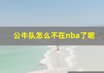 公牛队怎么不在nba了呢