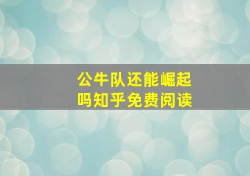 公牛队还能崛起吗知乎免费阅读