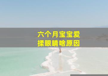 六个月宝宝爱揉眼睛啥原因