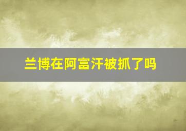 兰博在阿富汗被抓了吗