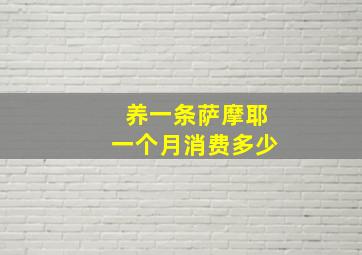 养一条萨摩耶一个月消费多少