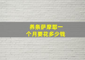 养条萨摩耶一个月要花多少钱