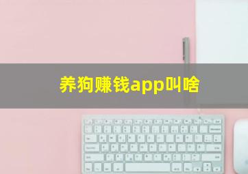 养狗赚钱app叫啥