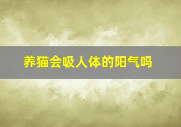 养猫会吸人体的阳气吗