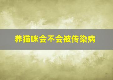 养猫咪会不会被传染病