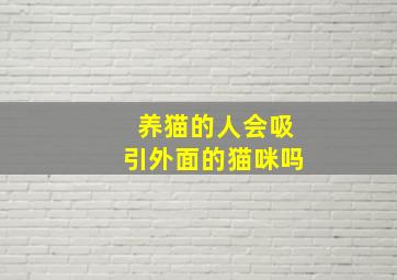 养猫的人会吸引外面的猫咪吗