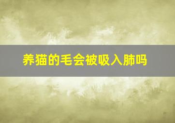 养猫的毛会被吸入肺吗