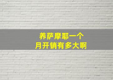 养萨摩耶一个月开销有多大啊