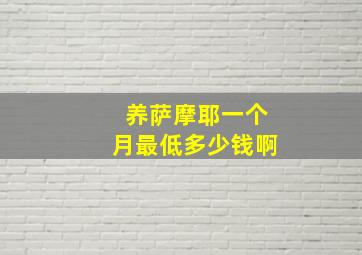 养萨摩耶一个月最低多少钱啊