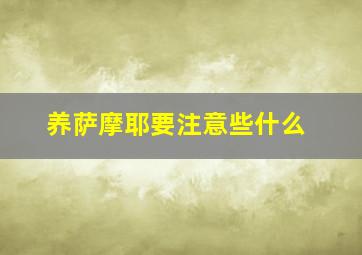 养萨摩耶要注意些什么