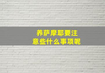 养萨摩耶要注意些什么事项呢