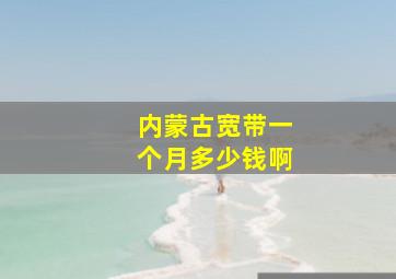 内蒙古宽带一个月多少钱啊