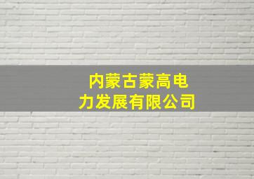 内蒙古蒙高电力发展有限公司